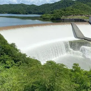 Presa Picachos en Sinaloa ya supera el 100% de su capacidad de almacenamiento tras las lluvias | VIDEO Presa Picachos en Sinaloa ya supera el 100% de su capacidad de almacenamiento tras las lluvias | VIDEO