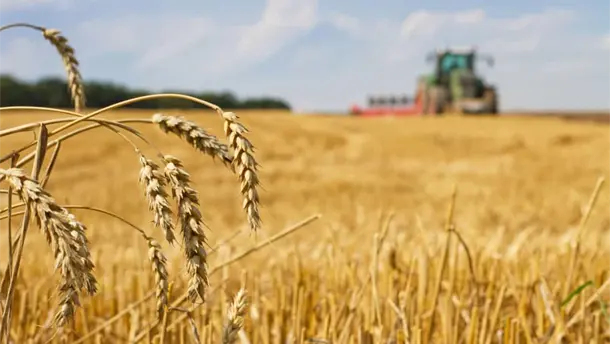 Nota Relacionada de Agro