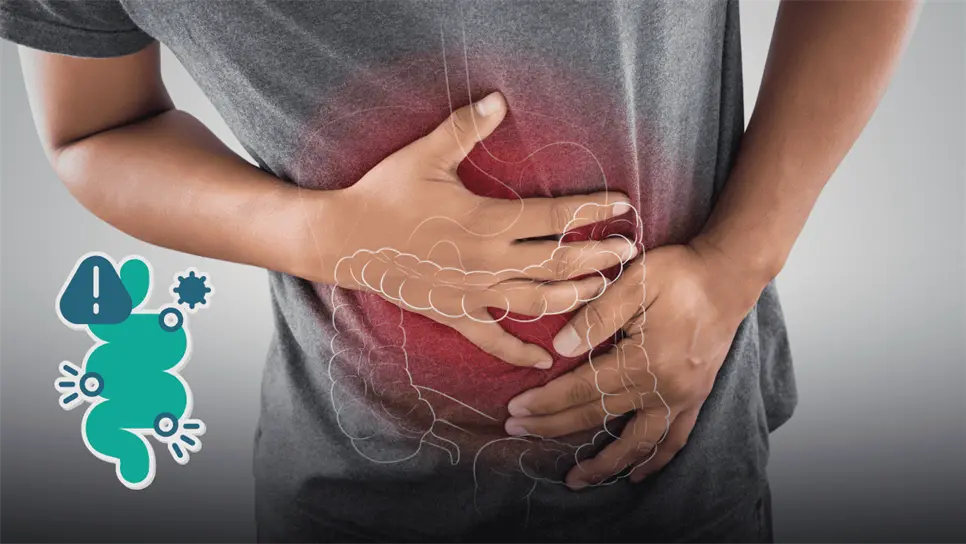 FOTO: La Secretaría de Salud enfatizó que México no enfrenta un brote de Cyclospora.