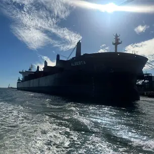 ¡Ya hay fecha! El primer embarque de sorgo de Sinaloa partirá a China el 15 de agosto ¡Ya hay fecha! El primer embarque de sorgo de Sinaloa partirá a China el 15 de agosto