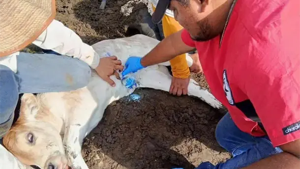 Nota Relacionada de Agro