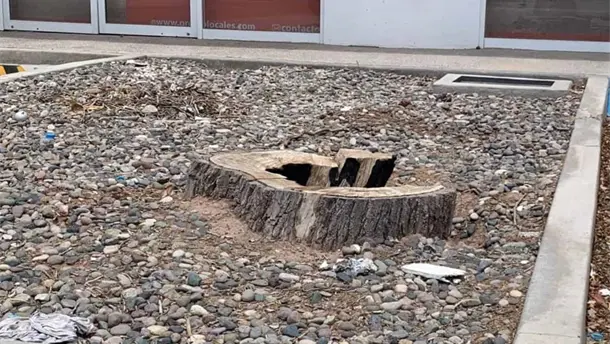 Nota Relacionada de Sinaloa