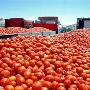 CAADES confía en que el T-MEC no afectará a las hortalizas de Sinaloa CAADES confía en que el T-MEC no afectará a las hortalizas de Sinaloa
