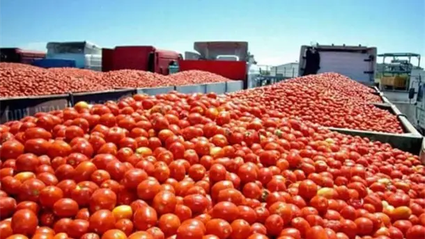 Nota Relacionada de Agro