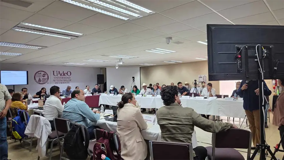 Con este encuentro, el proceso de diálogo entre autoridades, comunidades, especialistas y la empresa continúa avanzando mediante la revisión técnica de los diferentes componentes del proyecto, mientras el Gobierno federal mantiene abiertas las mesas de trabajo para buscar acuerdos entre las partes involucradas