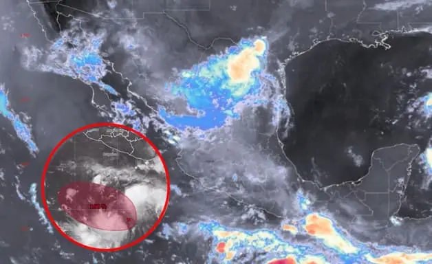 Imagen Placeholder Imagen Placeholder