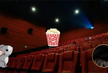 Ratón aparece en sala de cine en México; usuaria denuncia que le subió a la cabeza | VIDEO