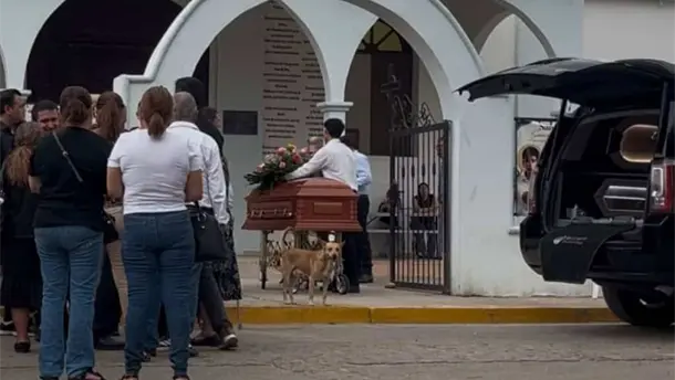 Nota Relacionada de Sinaloa
