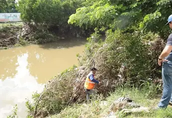 Gobierno de Mazatlán realizará poda de manglar en el Arroyo Jabalines para prevenir inundaciones