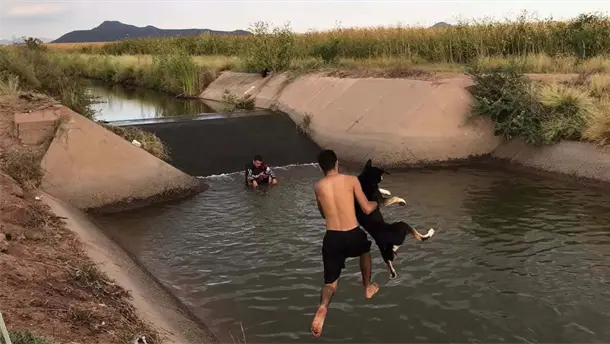 Nota Relacionada de Sinaloa