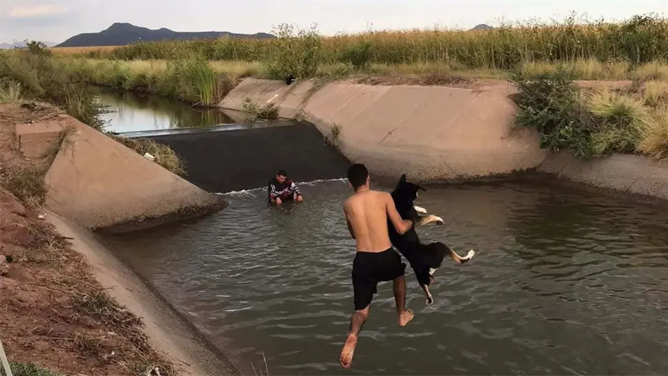"No soy una persona problemática": rompe el silencio dueño de Max, el perrito asesinado a balazos en El Carrizo