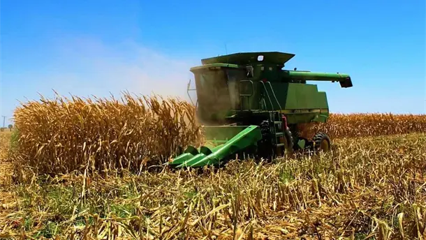 Nota Relacionada de Agro