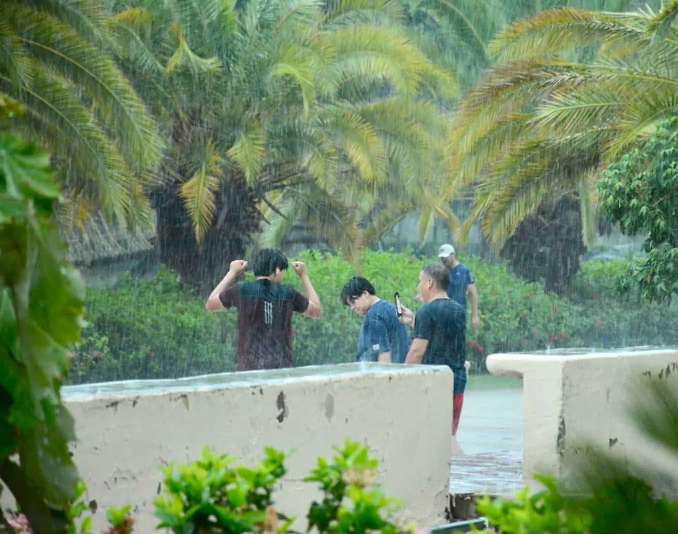 As&iacute; luce el Parque Sinaloa despu&eacute;s de la lluvia; un espect&aacute;culo natural en Los Mochis