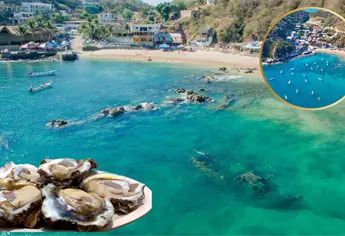 En esta playa se comen los mejores ostiones, ideal para vacaciones 2026