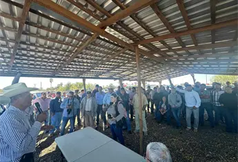 ¡Ultimátum al Gobierno! Trigueros de Sinaloa bloquearán la México 15 si no hay avances en los pagos