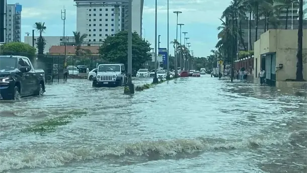 Nota Relacionada de Sinaloa